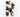 Flower that Starts with R