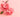 Why Pink Carnation Flowers Deserve a Spot in Your Home