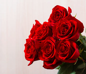 80 Red Flowers Names, Photos, with Easy Planting Tips! – Eternity Flower®