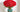 Most Beautiful Flowers in the World
