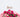 Studying The Language of Love: Romantic Flowers and Their Meanings