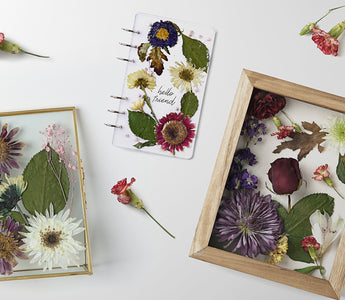 how to preserve flowers in frame