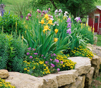 simple flower bed ideas for front house