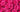 pink roses meaning