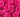 pink roses meaning