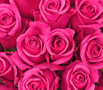 pink roses meaning