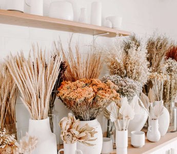 how to care for preserved flower