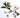 40 List of Popular Flowers That Start with A Info