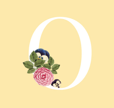 Flowers That Start With O