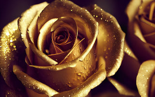 Gold Roses Meaning