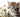 Are Daisies Toxic to Cats? Yes, But…
