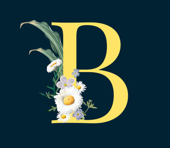 Blossoming Beauties: Discover 25 Flowers That Start With B