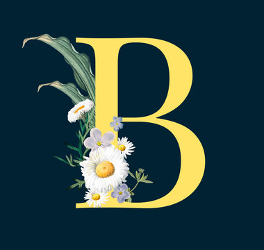 Blossoming Beauties: Discover 25 Flowers That Start With B