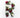 Flower that Starts with R