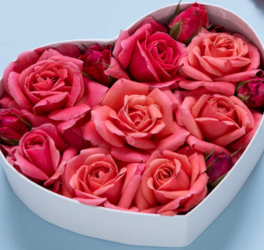 Preserved Flowers