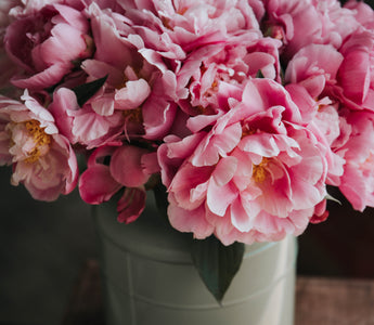 Flowers for Birthday: Choosing Blooms for Each Month
