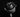 Black Rose Meaning: More Than Just a Dark Bloom