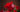Roses Color Meaning