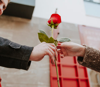 Blossoming Romance: Best Flowers for First Date Impressions