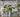 artificial flower arrangements