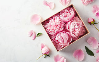 eternal rose box