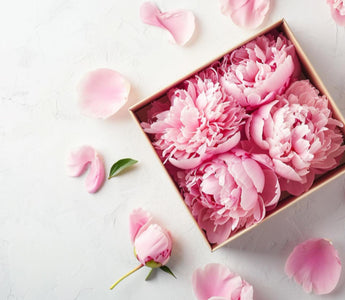 eternal rose box