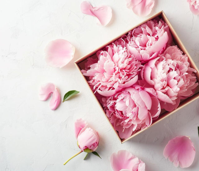 Get to Know Eternal Rose Box: Way to Make Every Occasion Unforgettable ...