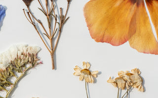 Timelessness in Petals: How Long Do Dried Flowers Last?