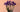 Flowers That Mean Strength: Floral Symbolism Explored