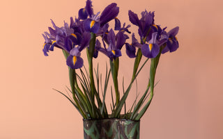 Flowers That Mean Strength: Floral Symbolism Explored