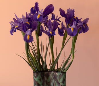 Flowers That Mean Strength: Floral Symbolism Explored