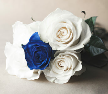 What Does a Blue Rose Mean? Symbolism Explained