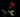 Types of Roses: Discovering the Diversity in Rose Species