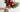 Christmas Gift Ideas for Women