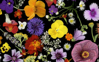 favorite flowers