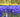 Hyacinth Flower Meaning: Significance of This Spring Bloom
