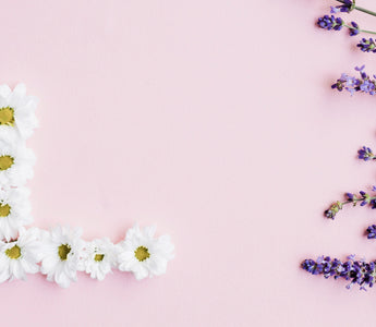 flowers that start with L