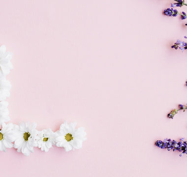 flowers that start with L
