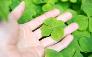 four-leaf clover spiritual meaning