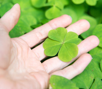 four-leaf clover spiritual meaning