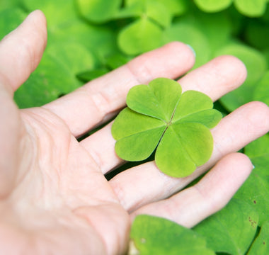 four-leaf clover spiritual meaning