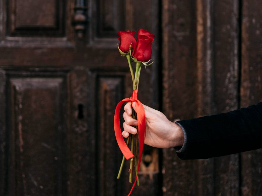 Best Flowers for to Help You Apologize Sincerely