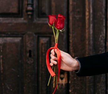 Flowers for Forgiveness: The Silent Language of Apology