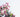 language of flowers