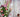 august birth flowers