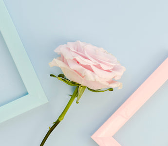 National Flower Day