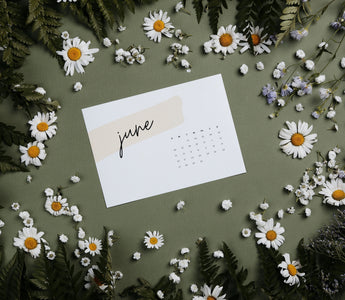 The Perfect Gemini Flower: A Birth Zodiac Bloom Guide