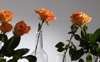 orange rose meaning