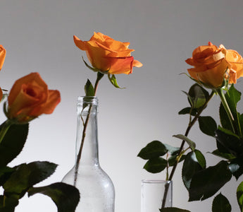 orange rose meaning