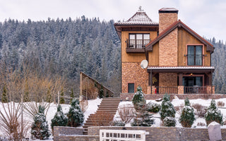 Winter Flower Gardens: Design Ideas for the Frosty Months